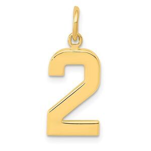 14k Yellow Gold, Athletic Collection Medium Polished Number 2 Pendant
